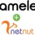 Exciting News: Chameleon Mode Partners with NetNut for Ultimate Online Security and Efficiency